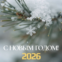 С Новым годом!
