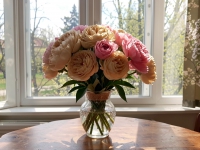 С Международным женским днем 8 Марта