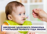 Введения здорового прикорма у малышей первого года жизни
