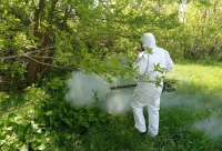В Волгоградской области водоемы обработают от комаров