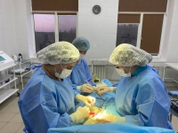 Волгоградские врачи провели мастер-класс для хирургов Луганской Народной Республики