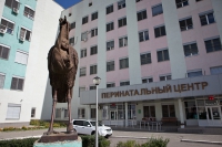Волгоградский перинатальный центр №2 вошел в число лучших в России